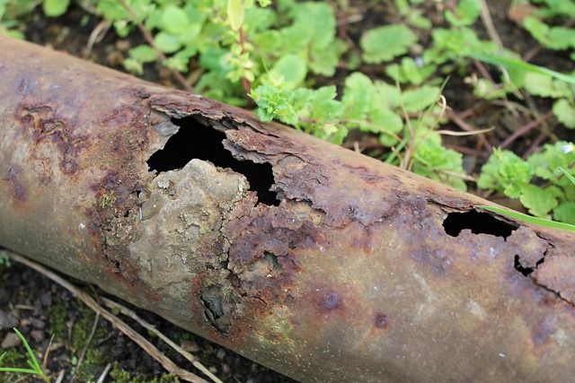 trenchless pipe lining