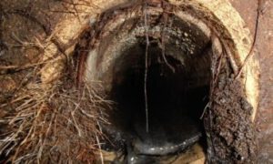 trenchless pipe lining