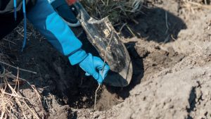 Trenchless Sewer Repair