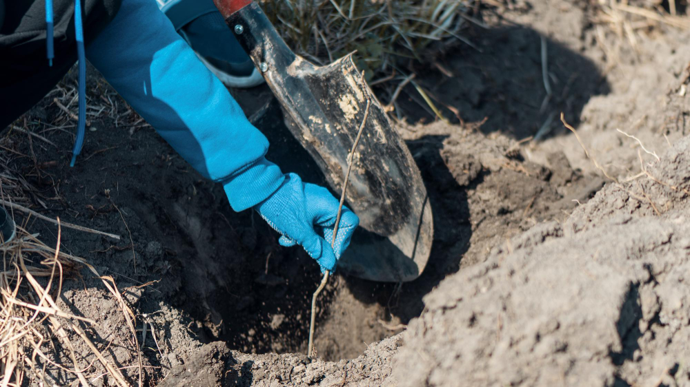 21661 Trenchless Sewer Repair