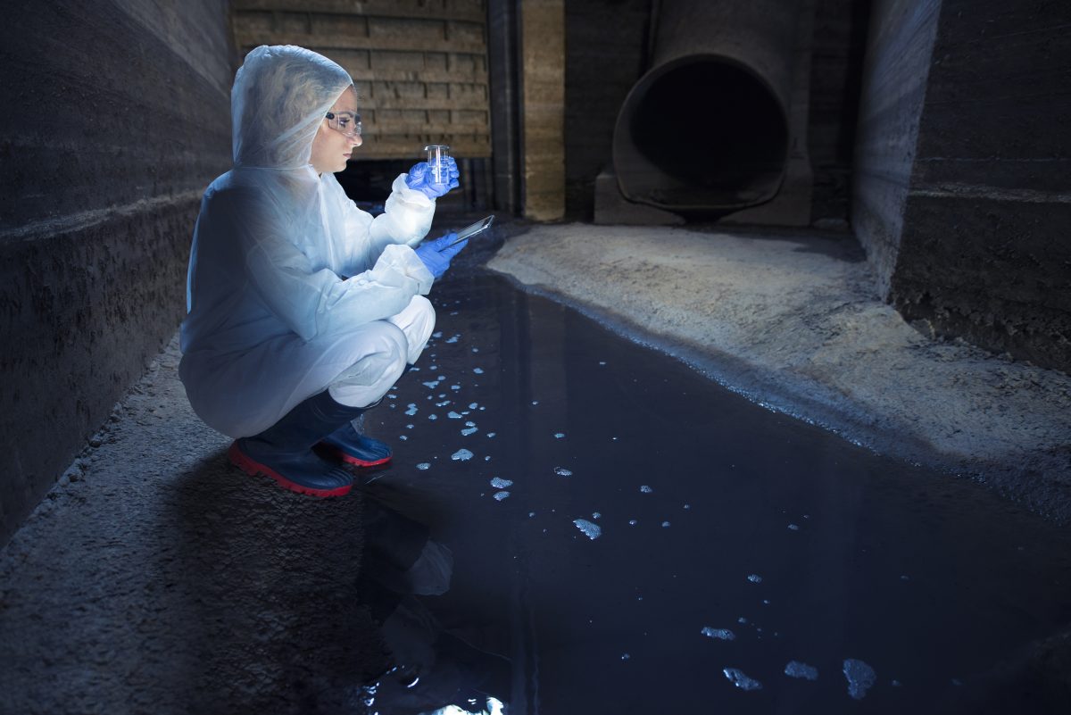 Signs of Sewer Line Damage