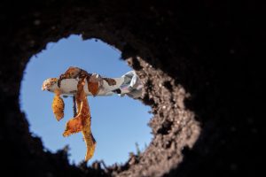 Sewer System